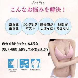 小胸さん向けヌーブラが垂れ、シンデレラバスト、産後胸が萎んだなどといった悩みをすべて解決