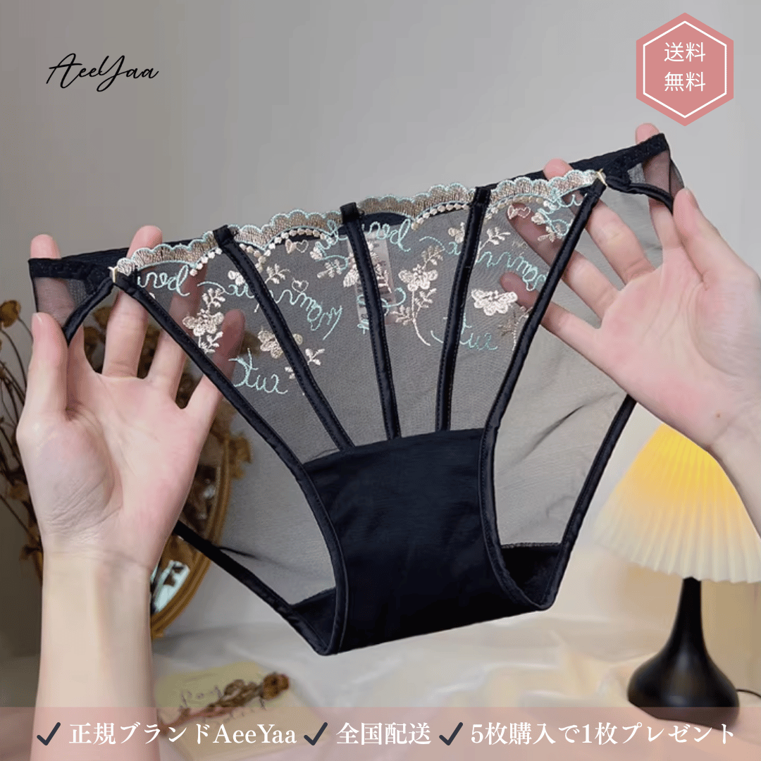 刺繍レース シースルーショーツ 低腰 ハイレッグ コットン クロッチ