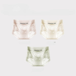 24H快適シリーズ フェミニンレースショーツ – Dカラー3枚セット