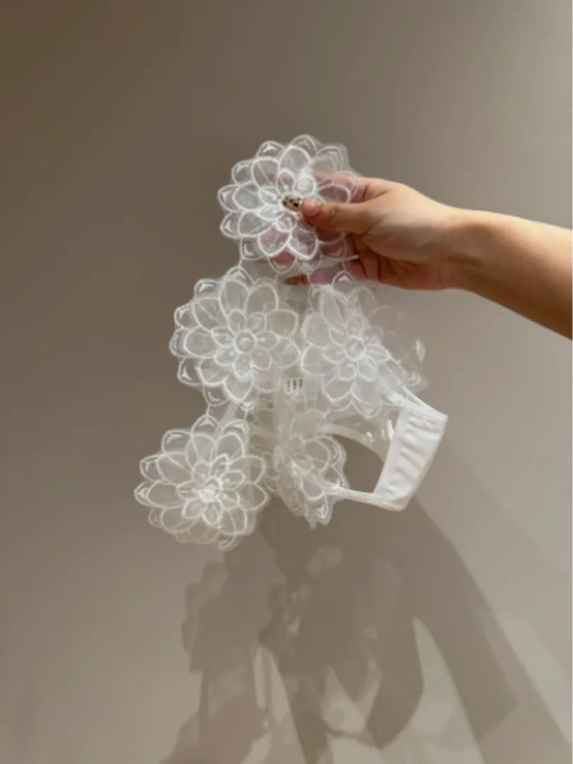 AeeYaa 大花レースショーツ｜大花刺繍×透け感デザイン（1枚入り）