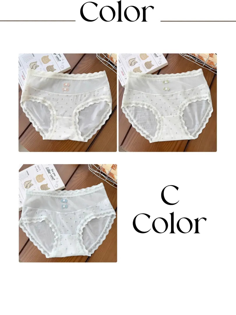 “いつもの日”に寄り添うナチュラルショーツの全体像